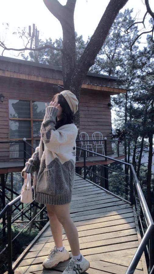 Chillout Village - Homestay Tam Dao Ханой Екстериор снимка